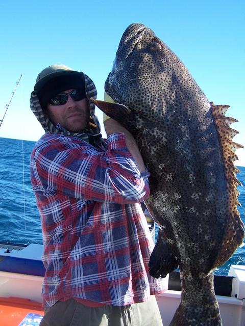 Dutchy's Monster Cod